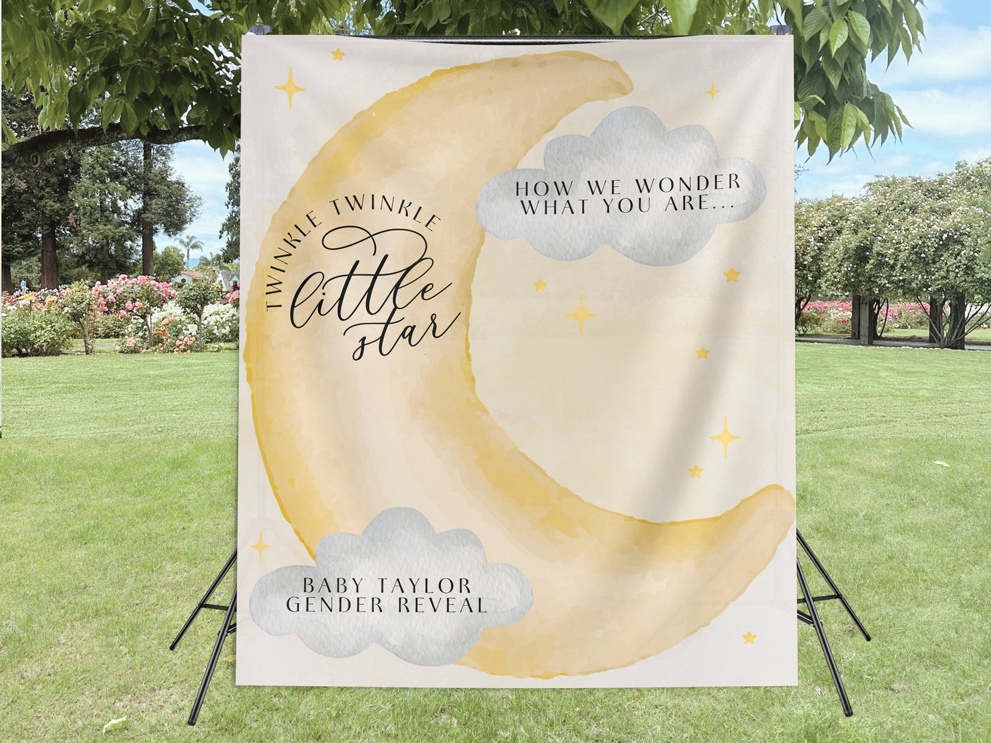 Twinkle Little Star Gender Reveal Banner, Over the Moon Backdrop, Moon and Stars Baby Shower Backdrop, Baby Shower Décor, Girl Baby Shower